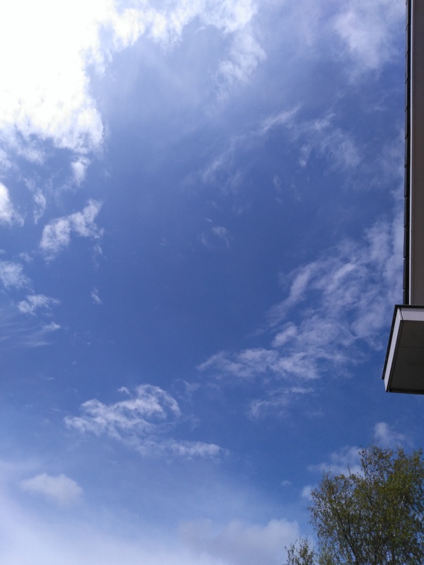 Afbeeldingslocatie: https://tweakers.net/i/BTRMAIXDbaQXhXgPvRuEOxDC6Uw=/x800/filters:strip_icc():strip_exif()/f/image/rK7nOPvLpTcolpvOHfHbTZWF.jpg?f=fotoalbum_large