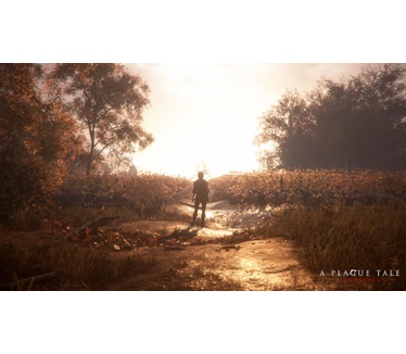 A Plague Tale: Innocence, PS5