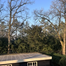 Afbeeldingslocatie: https://tweakers.net/i/BWNut_FfzmXptN2hP6k2mPKxr9k=/232x232/filters:strip_icc():strip_exif()/f/image/GnHSGyhF3limyTYgO3pMiHNE.jpg?f=fotoalbum_tile