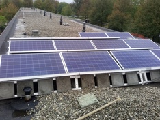 Afbeeldingslocatie: https://tweakers.net/i/BX89YZhJnHgSUyIWs4TW9Xxguhs=/234x176/filters:strip_icc():strip_exif()/f/image/eJJ7hrYiAaa6naJK6jDsbZB2.jpg?f=fotoalbum_medium