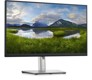 Dell P2423DE