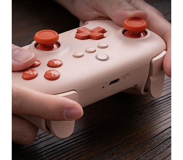 8Bitdo Ultimate C