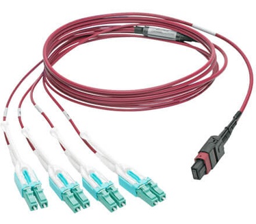 Tripp-Lite N845-02M-8L-MG Blauw, Zwart