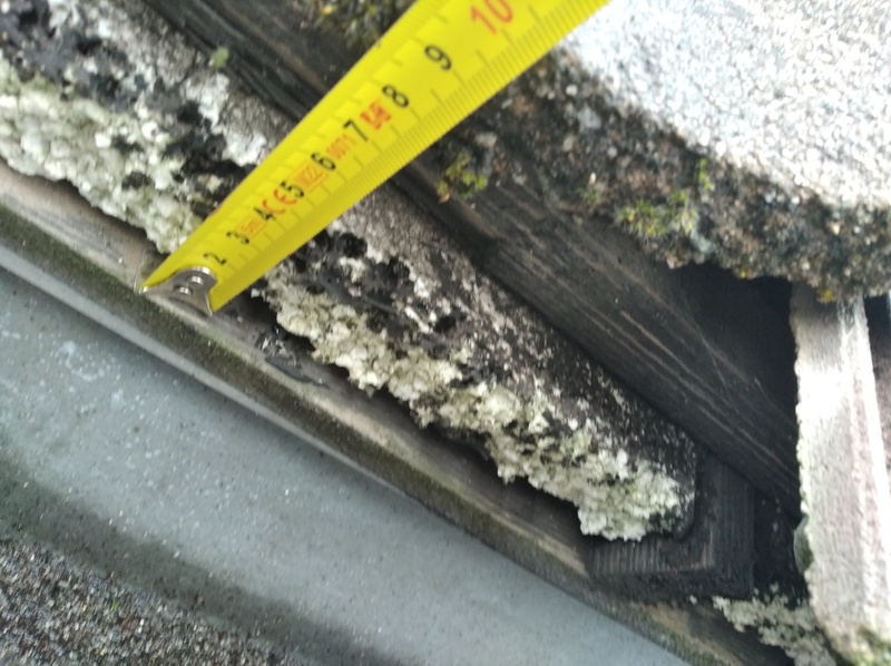 Afbeeldingslocatie: https://tweakers.net/i/B_pyPdQiA0yN1h5J4fzrW6RaFzA=/800x/filters:strip_icc():strip_exif()/f/image/ZnR2q9Gmj9td5sUdvVRIwexn.jpg?f=fotoalbum_large