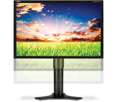 NEC MultiSync P221W Zwart