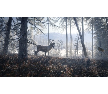 theHunter: Call of the Wild, Xbox One