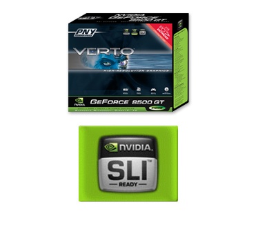 PNY 8500 GT 256MB PCIe