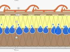 Afbeeldingslocatie: https://tweakers.net/i/BhuB7n4CZnoHNDW6hrTBNwkHHLk=/234x176/filters:strip_exif()/f/image/ZBDjWMS2ZKGhJysF2rqG6XNa.png?f=fotoalbum_medium
