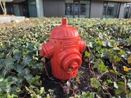 Cameratest Xiaomi 17 Ultra - Primair overdag