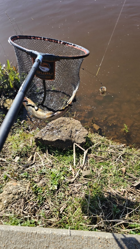 Afbeeldingslocatie: https://tweakers.net/i/BiisWB7H_YzwE976gnyIgZ7GTQ8=/x800/filters:strip_icc():strip_exif()/f/image/5WVw6Cb8TM7YbRjeERUsj4QX.jpg?f=fotoalbum_large