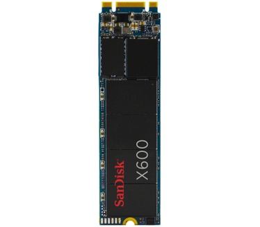 Sandisk X600