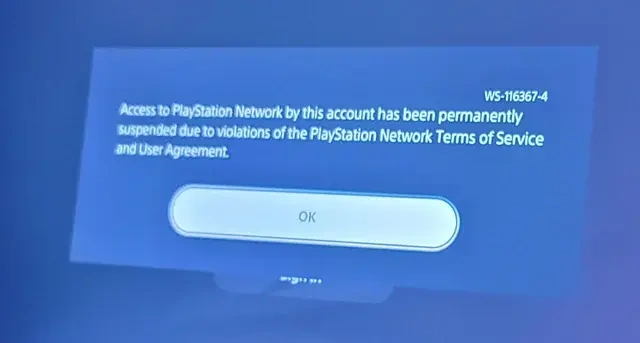 Schorsing PlayStation-account