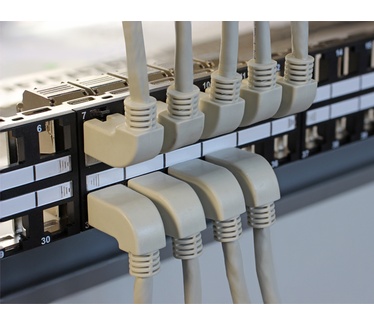 Delock 1m Cat.6A SSTP