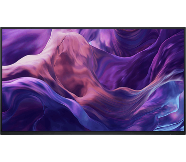 Dell P2425HE (zonder standaard) Zwart