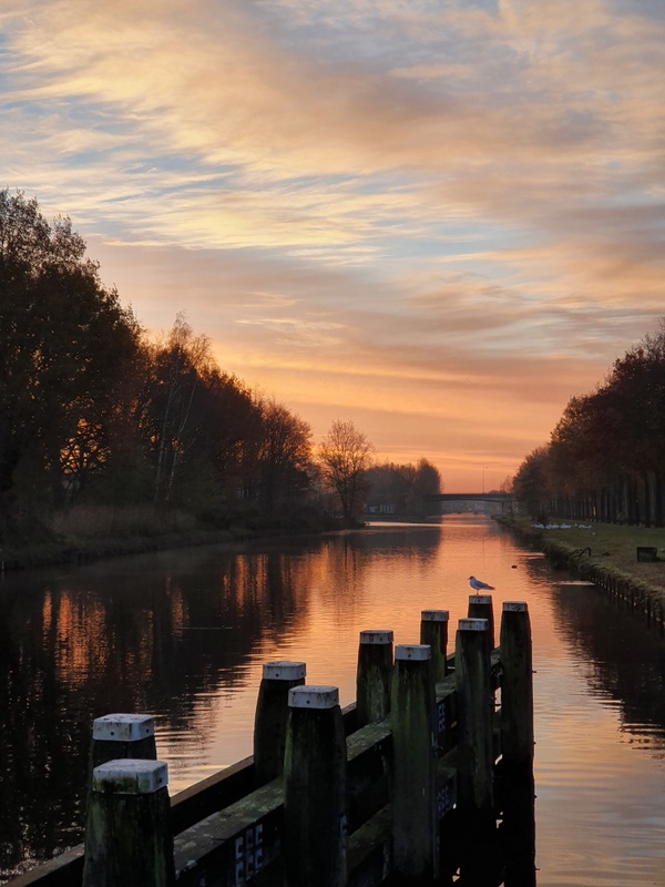 Afbeeldingslocatie: https://tweakers.net/i/Bmr-3zWvSMNbcI2U7Rrr8bnkKw0=/x800/filters:strip_icc():strip_exif()/f/image/IVd95Yqws38ofgqAM23IrXjX.jpg?f=fotoalbum_large