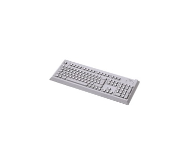 Fujitsu Keyboard/KBPC SX USB/PS2 ES