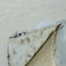 Afbeeldingslocatie: https://tweakers.net/i/Bo3YFxR8QpHhZ_S2FG4AitUOj10=/232x232/filters:strip_exif()/f/image/luHdgPO8d5PEN6ev6fgrVbpy.png?f=fotoalbum_tile