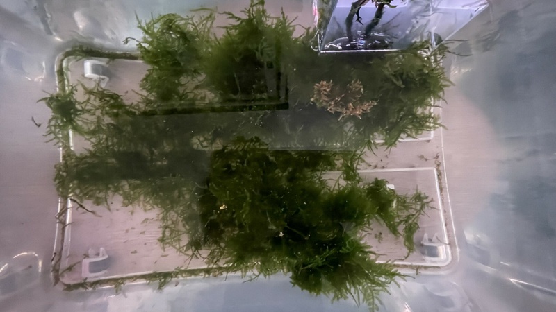 Afbeeldingslocatie: https://tweakers.net/i/Bq_RxwWQBxPyp53YhpNniWD8NIU=/800x/filters:strip_icc():strip_exif()/f/image/kpFZth1wTMDd0fZQqMEdAD6n.jpg?f=fotoalbum_large