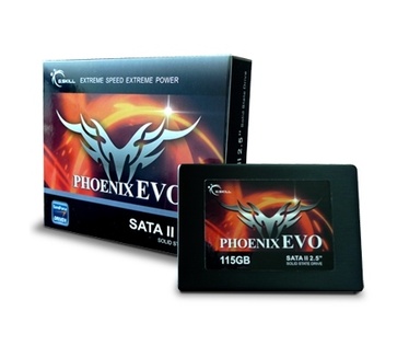 G.Skill Phoenix EVO 115GB