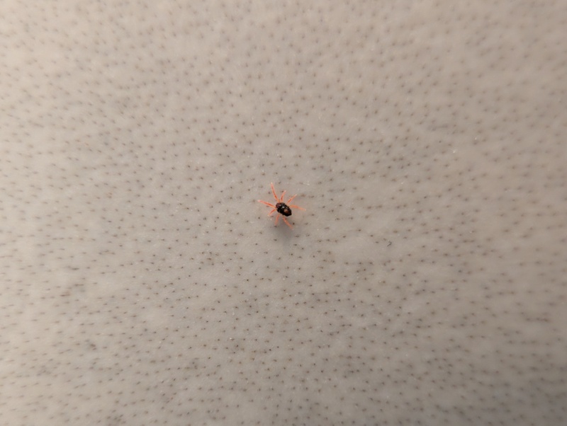 Afbeeldingslocatie: https://tweakers.net/i/BsUSItgn9mHbxARqdzJouXPB5rk=/800x/filters:strip_icc():strip_exif()/f/image/ymeE4FNOTQqNE1lDJBLYogf7.jpg?f=fotoalbum_large