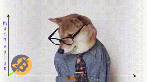 Afbeeldingslocatie: https://tweakers.net/i/BtA6qr86qBEgsv0s5KMVRB8mfCE=/full-fit-in/4000x4000/filters:no_upscale():fill(white):gifsicle():strip_exif()/f/image/Lcrjb9c28se10VzXYBbL7zyG.gif?f=user_large