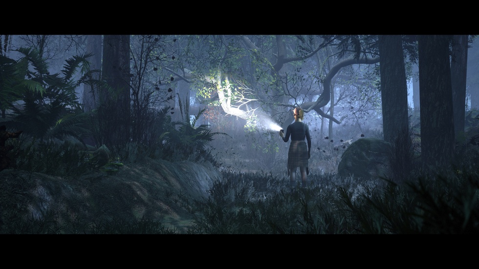 The Quarry