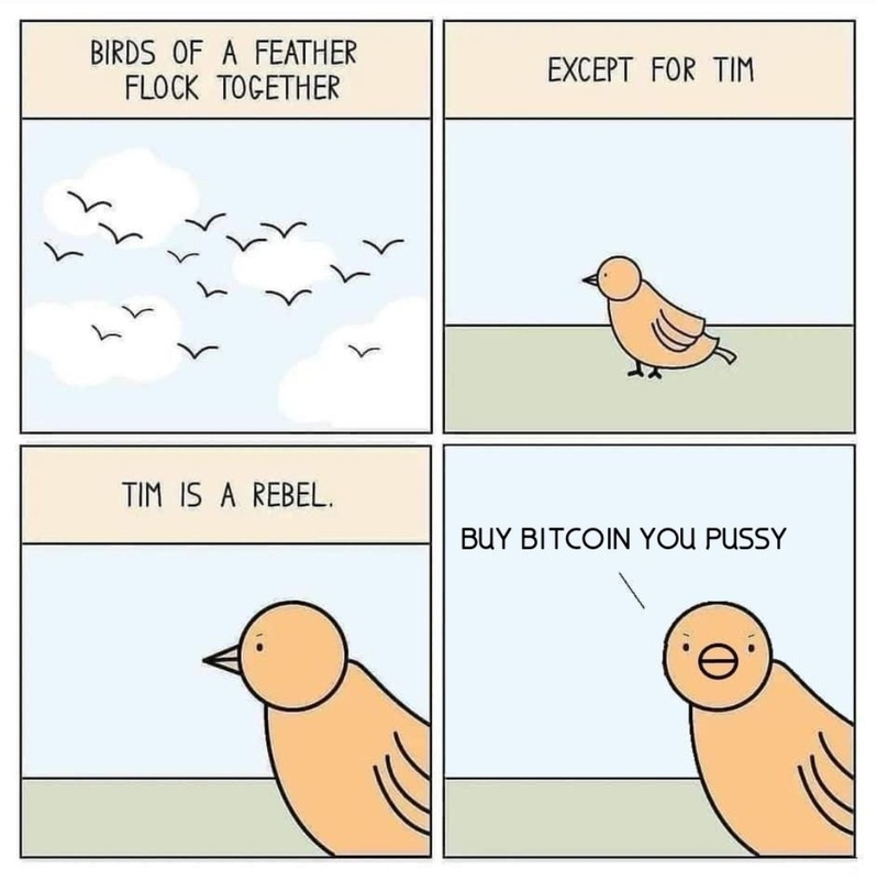 Afbeeldingslocatie: https://tweakers.net/i/Bw9hECDG5QxWnCn8uc3RGcYW5jY=/x800/filters:strip_icc():strip_exif()/f/image/3M05PsKpgSxcfjFfie9tTzK4.jpg?f=fotoalbum_large