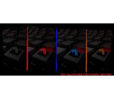 Ozone Strike Battle Cherry MX Red (Qwerty US)