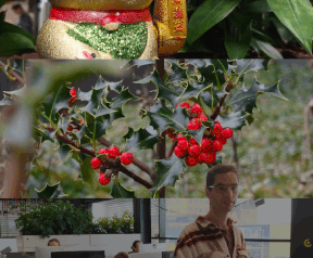 OPPO Reno15 - Collages maken