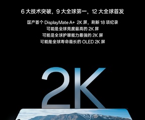 OnePlus BOE-scherm in OnePlus 12