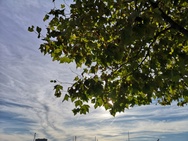Foto gemaakt met Huawei P20 Pro voor review Pixel 3