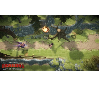 Dragons: Dawn of New Riders, Switch