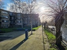 Samsung Galaxy S22(+) - Camera overdag