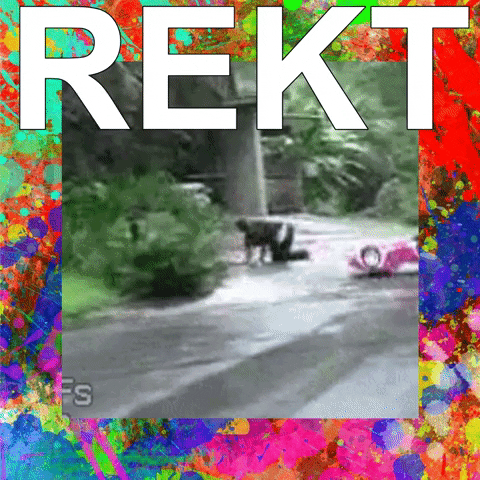 Afbeeldingslocatie: https://tweakers.net/i/C1GHoCFqjaXN21nVguHy6wEV1yA=/full-fit-in/4000x4000/filters:no_upscale():gifsicle():strip_exif()/f/image/NbtS9qywWyNYOF342yk5CkWy.gif?f=user_large