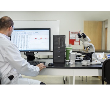 HP EliteDesk 800 G2 MT X3J14ET