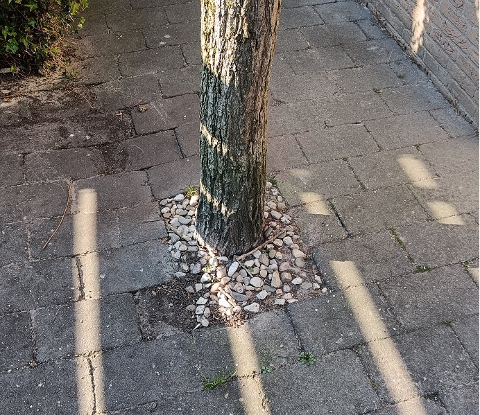 Afbeeldingslocatie: https://tweakers.net/i/C4-SqAoab98H-4vi5FS52Ll4wa8=/fit-in/4920x3264/filters:max_bytes(3145728):no_upscale():strip_icc():strip_exif()/f/image/Fp0b9ElSkkDJZdVYD0py2yOH.jpg?f=user_large