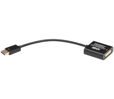 Tripp-Lite P134-06N-DVI-V2 Zwart