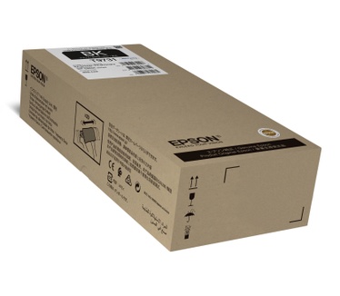 Epson T9731