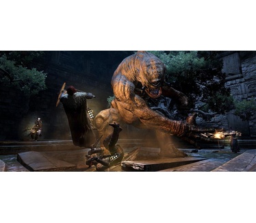Dragon's Dogma: Dark Arisen, Switch