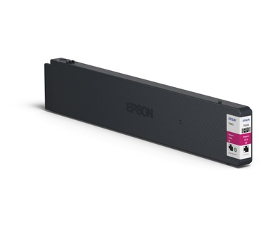 Epson C13T858300
