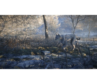 theHunter: Call of the Wild, Xbox One