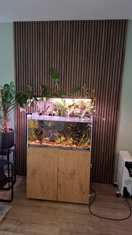 Afbeeldingslocatie: https://tweakers.net/i/CBHF0b0zjy7mcsBY40TwFrbji8w=/x800/filters:strip_icc():strip_exif()/f/image/scZfbiisOQJD7ZaInskQgCB0.jpg?f=fotoalbum_large