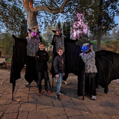Afbeeldingslocatie: https://tweakers.net/i/CFRNupYCb9qfyrkf4luh69DWPTs=/232x232/filters:strip_icc():strip_exif()/f/image/pGXVm0FTSfkUe8Mtaloy1iYy.jpg?f=fotoalbum_tile