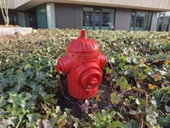 Cameratest Xiaomi 17 Ultra - Primair overdag