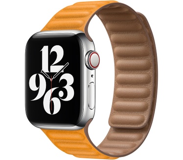 Apple 40mm California Poppy Leather Link - S/M