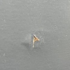 Afbeeldingslocatie: https://tweakers.net/i/CHiU5sp92wQF71_0D_pOu2EpR3g=/232x232/filters:strip_icc():strip_exif()/f/image/NCcXEAkqGO0G26L0bZVcb74V.jpg?f=fotoalbum_tile