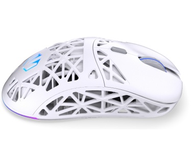 ENDORFY LIV Plus Wireless Onyx White