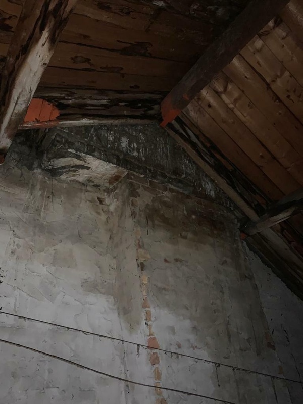 Afbeeldingslocatie: https://tweakers.net/i/CLUPtD6ZoUrs-Bl3c97C79veNF4=/x800/filters:strip_icc():strip_exif()/f/image/nD5yBsnSFwOn8p7E71rqS5sa.jpg?f=fotoalbum_large