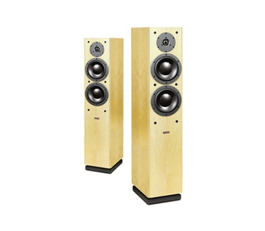 Focus 220  Geel