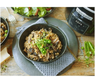 Crock-Pot CSC061X